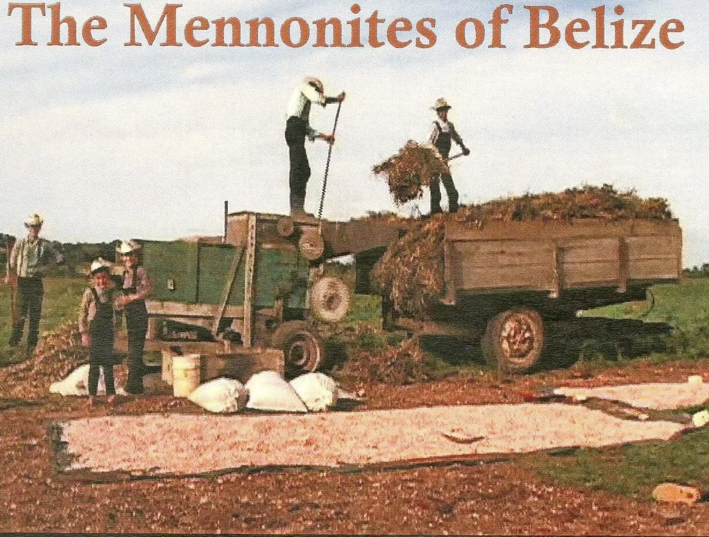 Mennonite of Belize